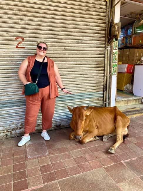 Delhi: Old Delhi's Street Food, Temples & Spice Market Tour - The rickshaw through Old Delhi’s market lanes