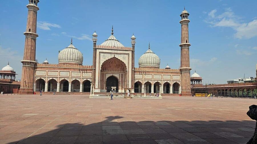 Delhi: Private Old and New Delhi Day Trip with Local Guide - Key points to know before booking