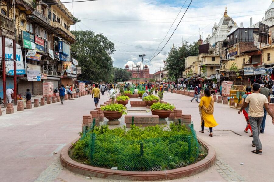 Delhi: Private Old & New Delhi Guided Half- or Full-Day Tour - The guide and driver make the difference