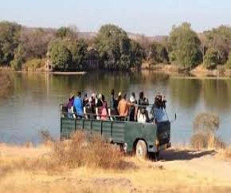 Delhi: Ranthambore National Park 3-Day Trip w/ Tiger Safari - Who should book this Ranthambore trip