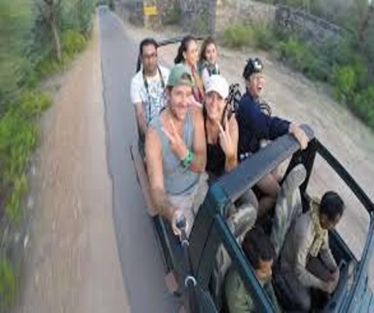 Delhi: Ranthambore National Park 3-Day Trip w/ Tiger Safari - Day 3: breakfast, checkout, and Delhi return