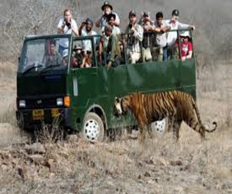 Delhi: Ranthambore National Park 3-Day Trip w/ Tiger Safari - Drivers, language, and private travel