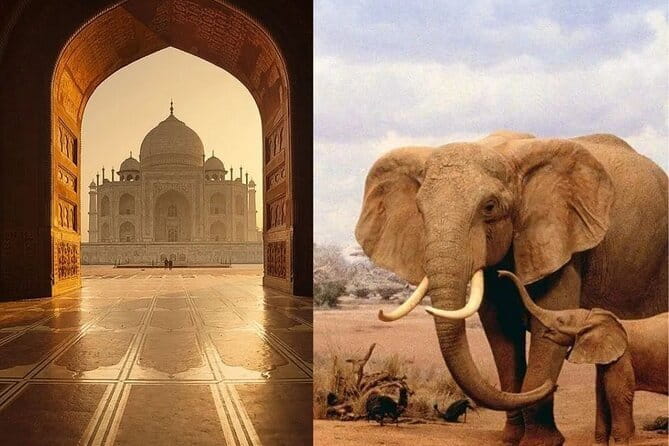 Delhi: Same Day Taj Mahal & Agra Fort Tour with Baby Taj & Lunch - What the $63.93 price delivers