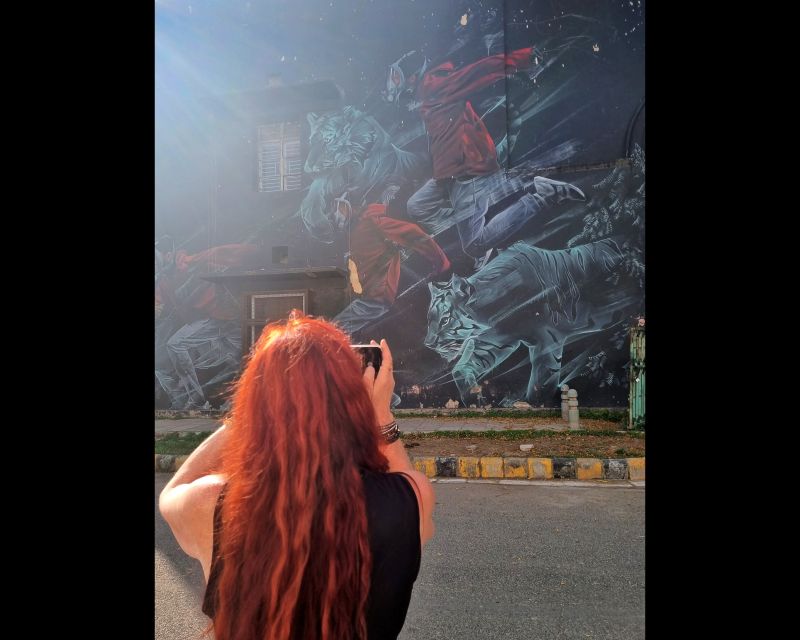 Delhi Street Art Tour: Explore the Murals & Visit a Stepwell - Finishing with dosa and filter coffee