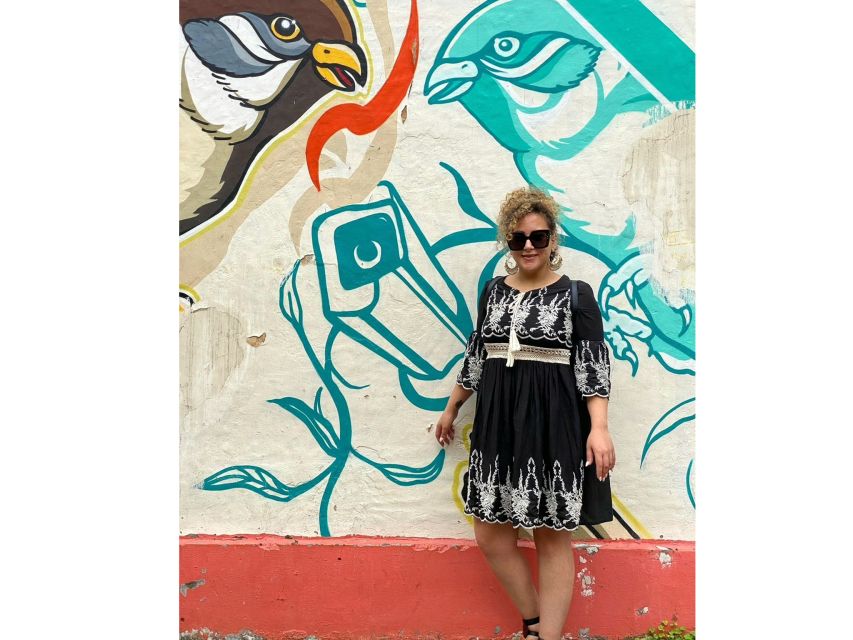 Delhi Street Art Tour: Explore the Murals & Visit a Stepwell - Is $38 good value for three hours?