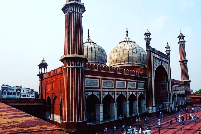 Delhi Tour with private car and local guide full day - Qutub Minar and the early Delhi Sultanate