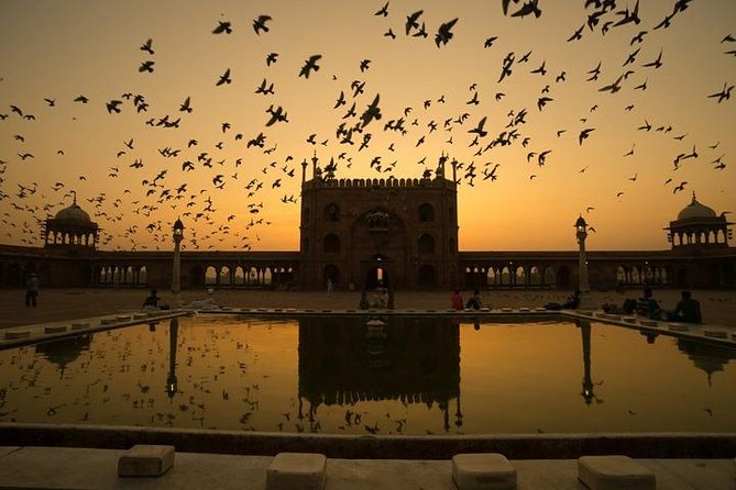 Five Day - Private Luxury Golden Triangle Tour to Agra & Jaipur From New Delhi. - Day four: Jaipur’s forts, palaces, and science