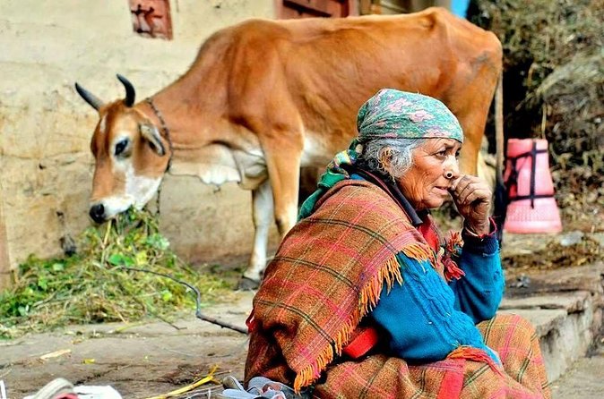Food Tour With Cooking Class in Local Village from Delhi - An ox cart gives the village visit a slower pace