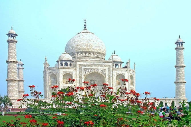 From Delhi: 1-day trip Mathura with Elephant conservation - Wildlife SOS Elephant Conservation and Care Centre