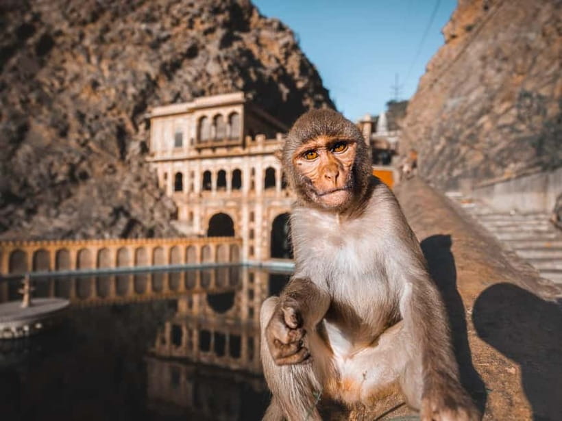 From Delhi: 2-Day Agra & Jaipur Golden Triangle Experience - Day 1: Delhi to Agra and the first view of the Taj Mahal