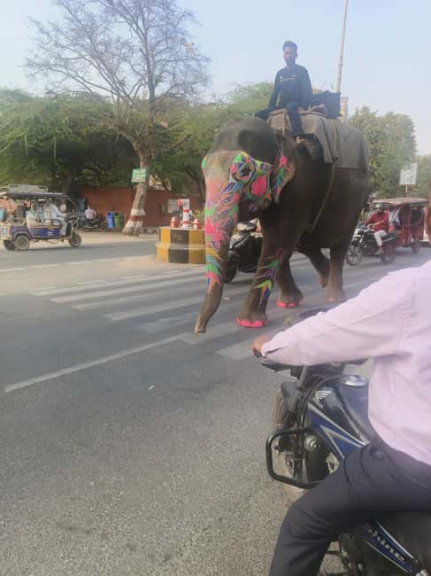 From Delhi: 3 Days Golden Triangle Tour - Fatehpur Sikri breaks up the road to Jaipur