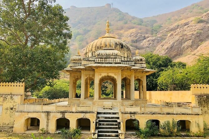 From Delhi : 6 Days Delhi, Jaipur, Agra & Ranthambore By Car - Guides, driving, and the value of a private vehicle