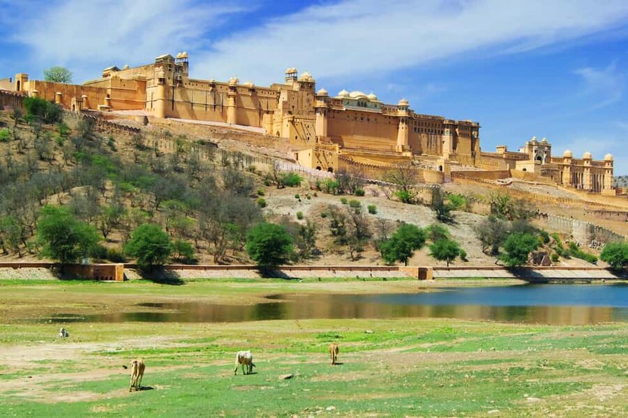 From Delhi: 8-Day Golden Triangle Jodhpur Udaipur Tour - Day 1: A soft landing in Delhi