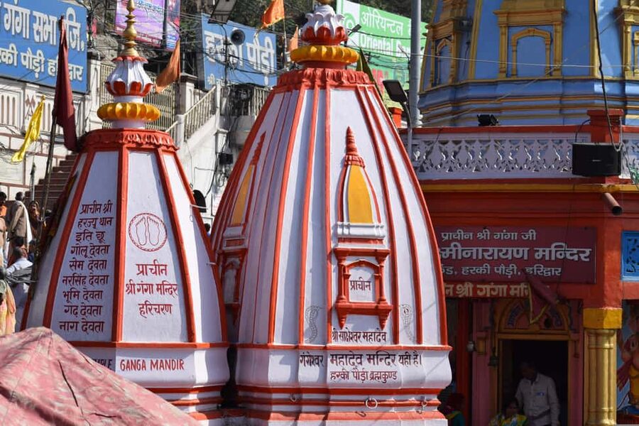 From Delhi: Private Guided Day Trip to Haridwar & Rishikesh - Key points to know before booking