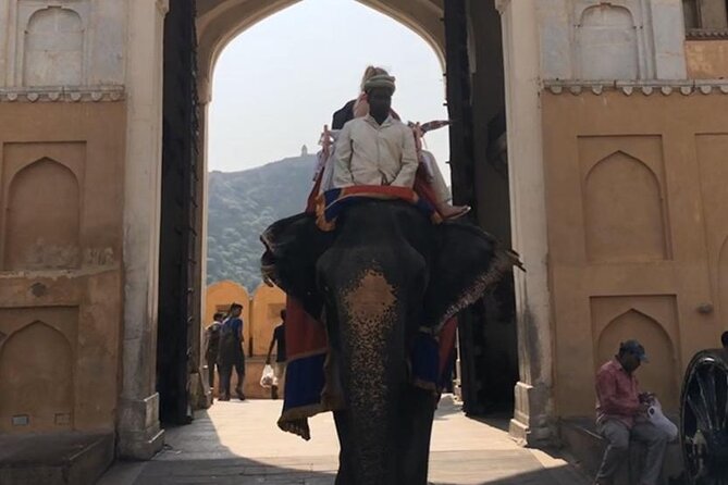 From Delhi: Private Jaipur Tour by Car - All Inclusive - Amber Palace and Jaipur’s hilltop setting