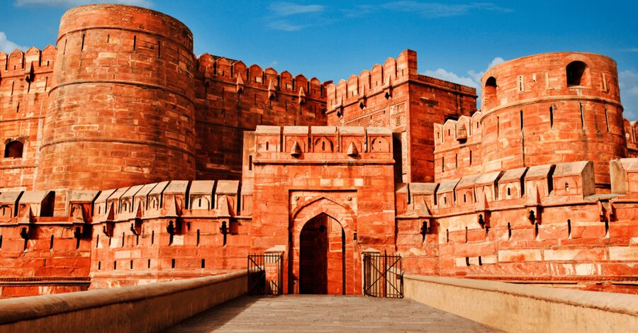 From Delhi: Private Taj Mahal & Agra Day Trip by Car or Rail - The driver and the long return to Delhi