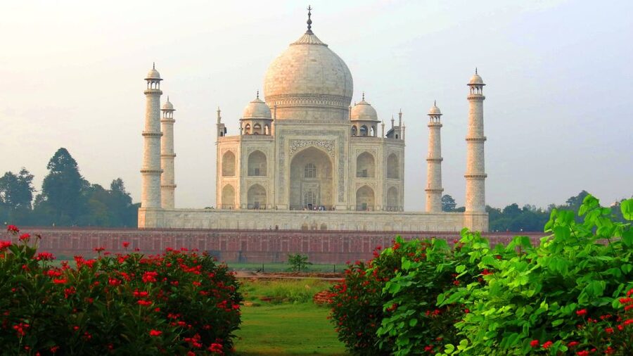 From Delhi: Taj Mahal & Agra Fort Private Tour with Options - Who Gets the Best Value