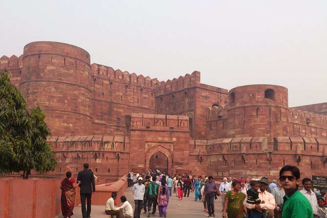 From Delhi: Taj Mahal Sunrise and Agra Fort Private Tour - The private format and the guide experience