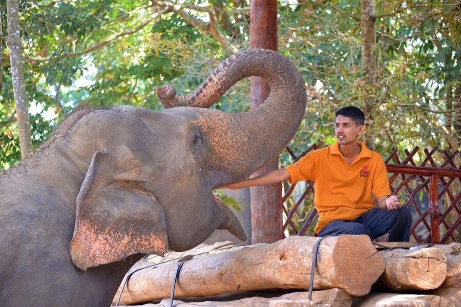 From Delhi: Taj Mahal Sunrise and Elephant Wildlife SOS Tour - Lunch and breakfast depend on the package