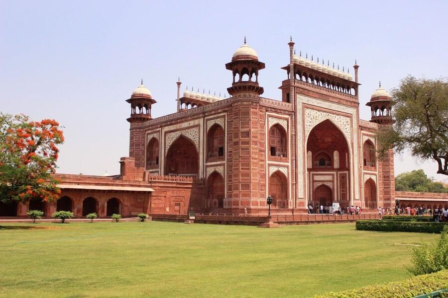 From Delhi: Taj Mahal Sunrise and Elephant Wildlife SOS Tour - Wildlife SOS is the most meaningful stop