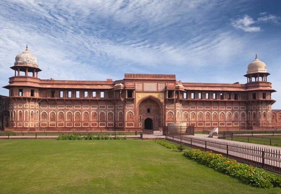 From Delhi: Taj Mahal Sunrise and Elephant Wildlife SOS Tour - Guides, drivers, and the pace of the day