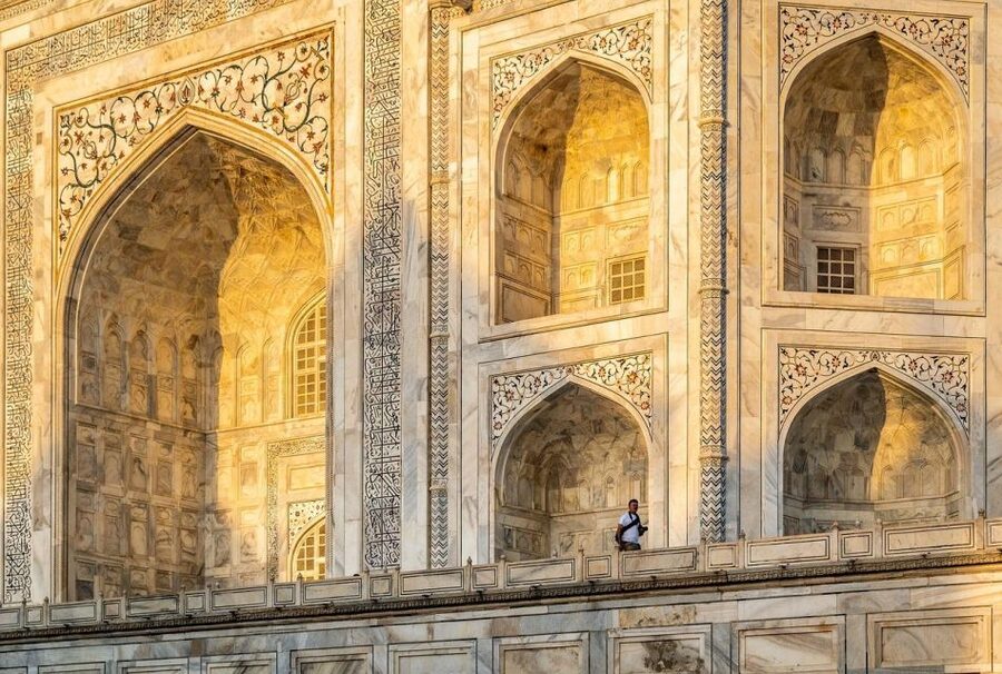 From Delhi: Taj Mahal Sunrise and Elephant Wildlife SOS Tour - What the price really means