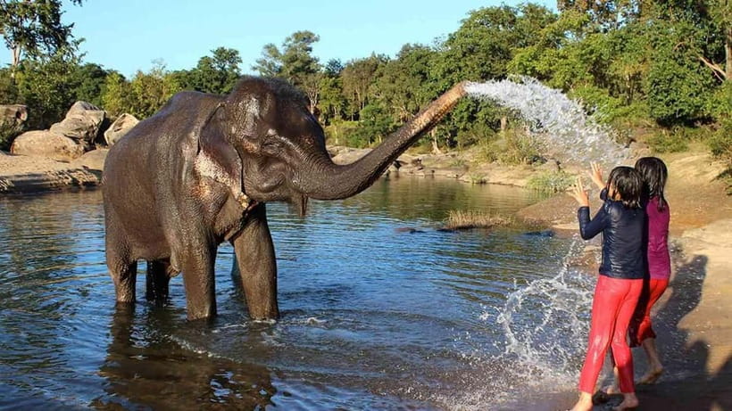 From Delhi: Taj Mahal Sunrise Tour w/ Elephant Conservation - Breakfast, lunch, and the timing choice