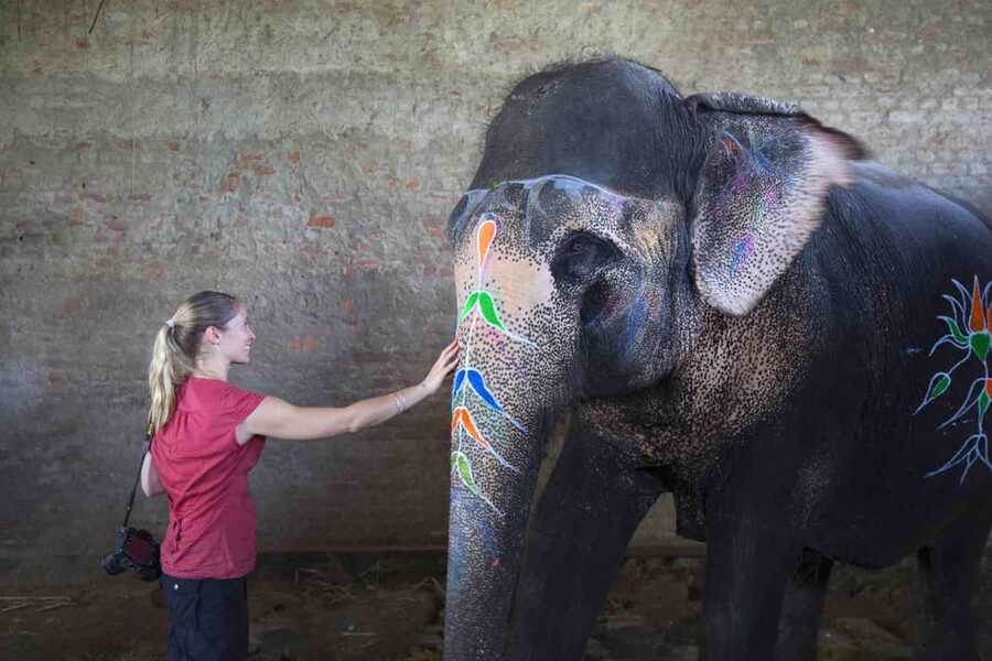 From Delhi: Taj Mahal Sunrise Tour w/ Elephant Conservation - Booking and cancellation details that matter