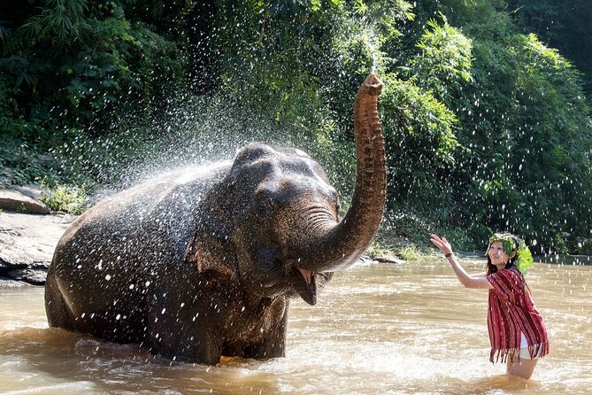 From Delhi:Taj Mahal Sunrise Tour with Elephant SOS Center - Who should book this day trip
