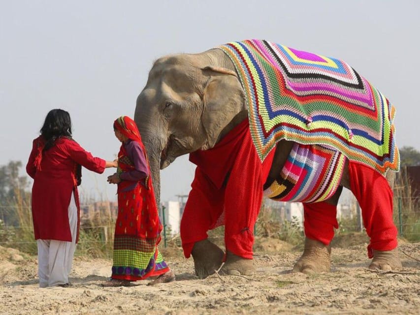 From Delhi: Taj Mahal with Photographer & Elephant SOS Tour - What to notice at Agra Fort