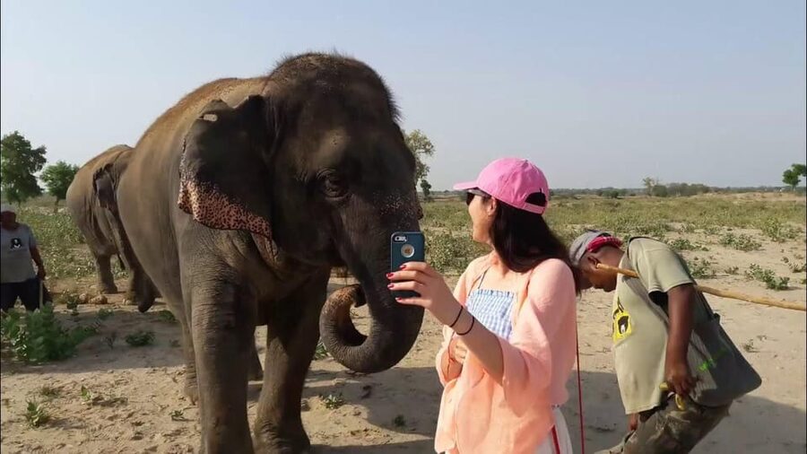 From Delhi: Taj Mahal with Photographer & Elephant SOS Tour - Mughlai lunch and the cost question