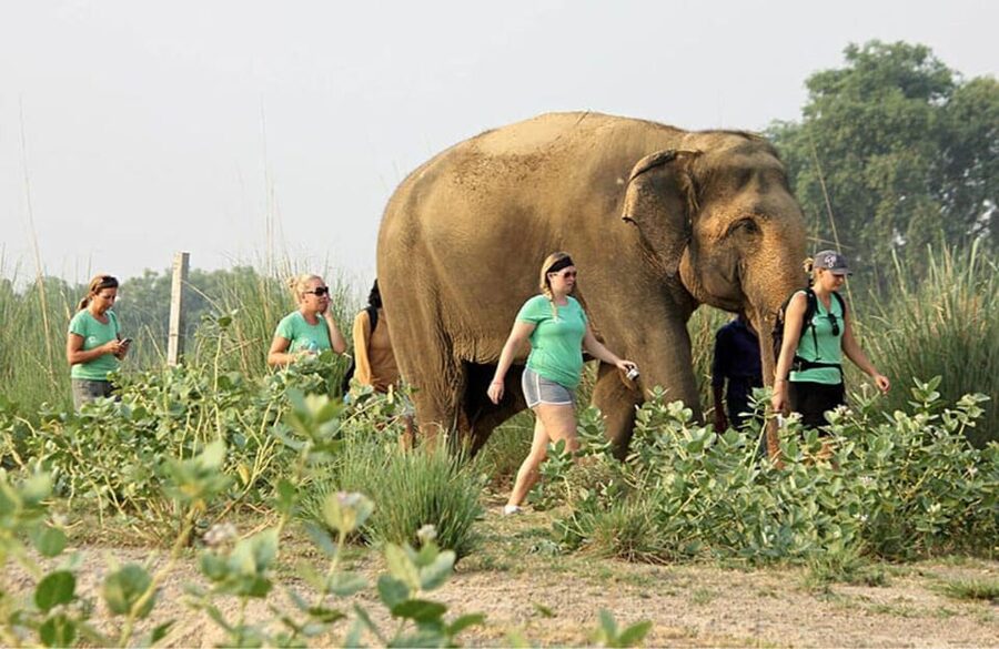 From Delhi: Taj Mahal with Photographer & Elephant SOS Tour - Guide quality and personal service