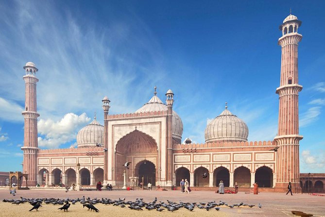 Full Day Private Custom Tour of New Delhi - A private way to get your Delhi bearings