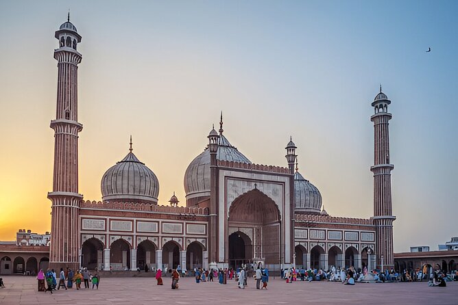 Full Day Private Delhi Sightseeing Tour with Local Guide - Jama Masjid and the first look at Old Delhi