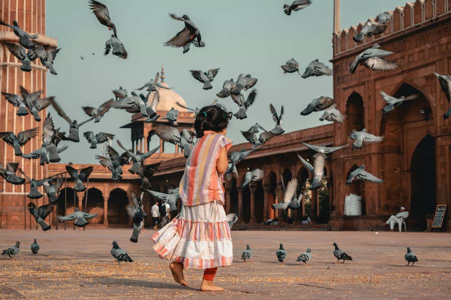 Full Day Tour of Old & New Delhi with India Iconic Red fort - Humayun’s Tomb and the Mughal Beginning
