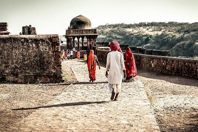 Golden Triangle Tour With Ranthambore (Viator Award Winner) - Day 4: Ranthambore and the search for a tiger