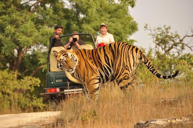 Golden Triangle with Wildlife and Royal Castle Stay - The final drive returns you to Delhi