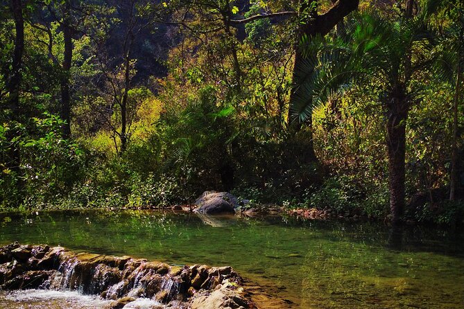 Moderate Himalayan Treks Near Rishikesh From Delhi - Key points at a glance