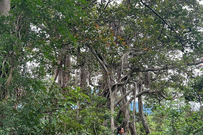 Moderate Himalayan Treks Near Rishikesh From Delhi - Who will enjoy this trip most