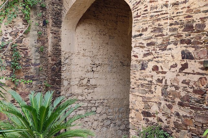 Neemrana Fort visit with Lunch From Delhi - Walking through Neemrana village before the fort