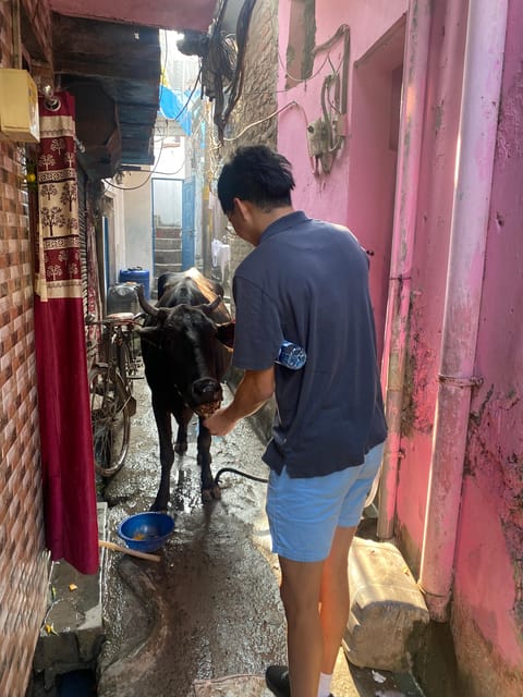 New Delhi - Ethical Sanjay Colony Slum Tour with Local guide - Faith and the temple at the end