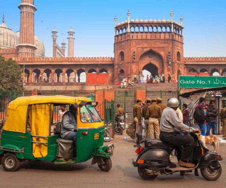 Old Delhi: 3-Hour Private Tuk-Tuk/Rickshaw Ride Tour - Jain Mandir and the charitable bird hospital
