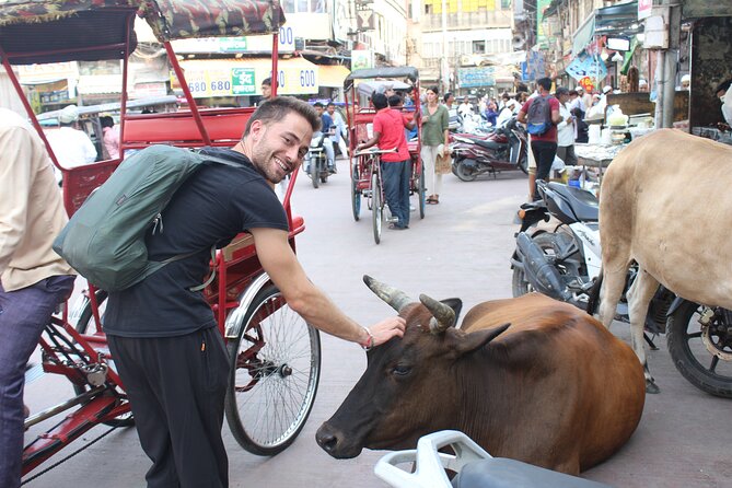 Old Delhi Food Tour Safari - The Capital of Flavors - Chandni Chowk Food and Mughal Influences