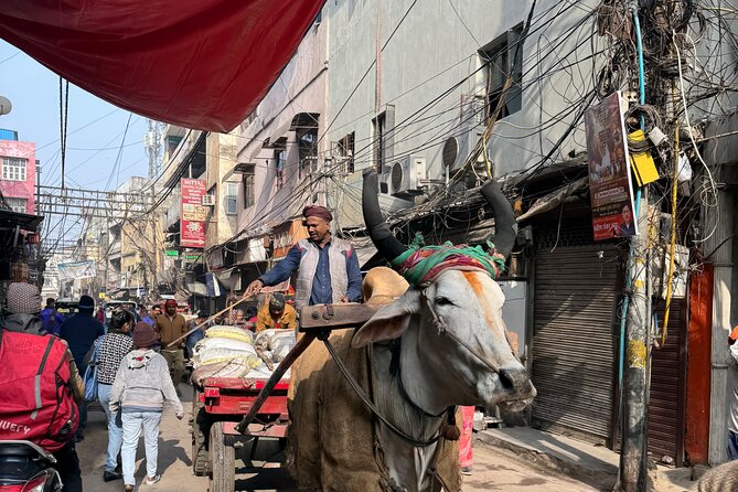 Old Delhi Heritage Food Walk - Starting near Jama Masjid in Old Delhi