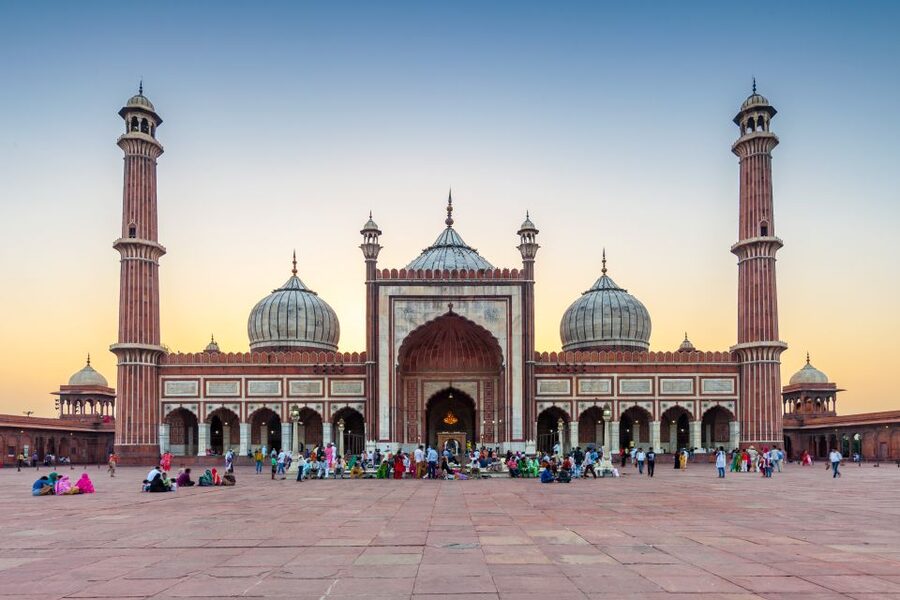 Old Delhi Temples and Spiritual Sites Private 6-Hour Tour - The driver and guide make the difference