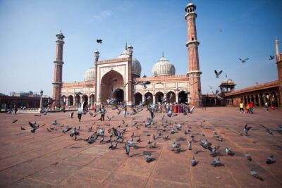 Old & New Delhi City Tour – Half or Full Day Options