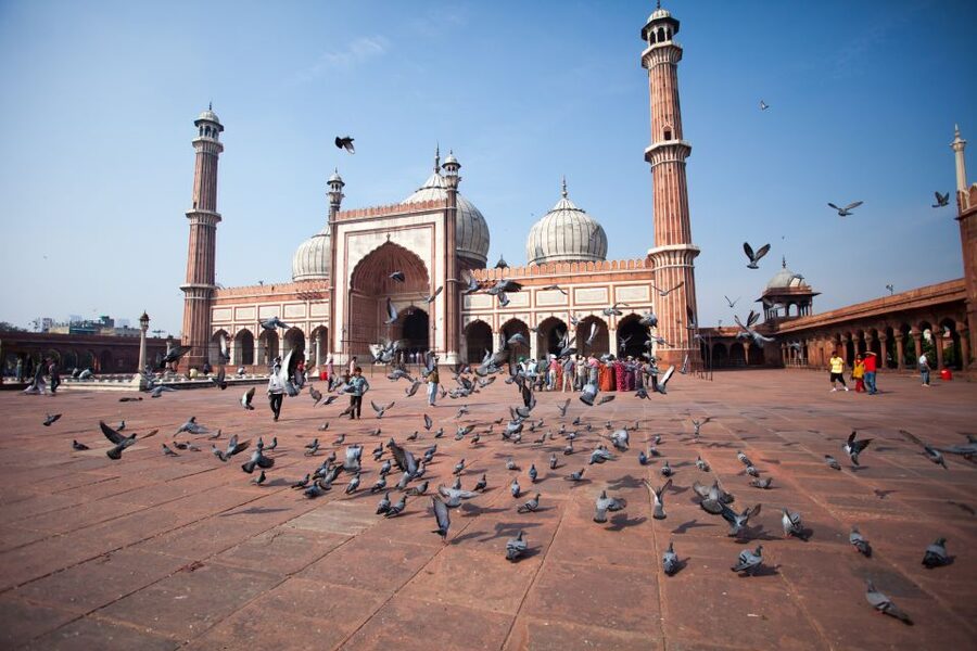 Old & New Delhi City Tour – Half or Full Day Options - Old Delhi begins with a tuk-tuk through Chandni Chowk