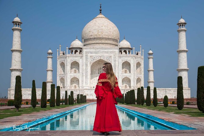 Private 4-Day Golden Triangle Tour with Ranthambore Tiger Safari - A shared safari in Ranthambore National Park