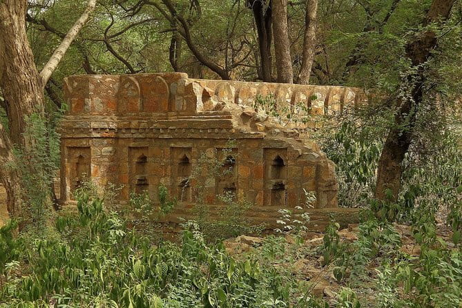 Private 4-Day Tiger Safari & Golden Triangle Tour from Delhi - Cars, group size, and hotel choices