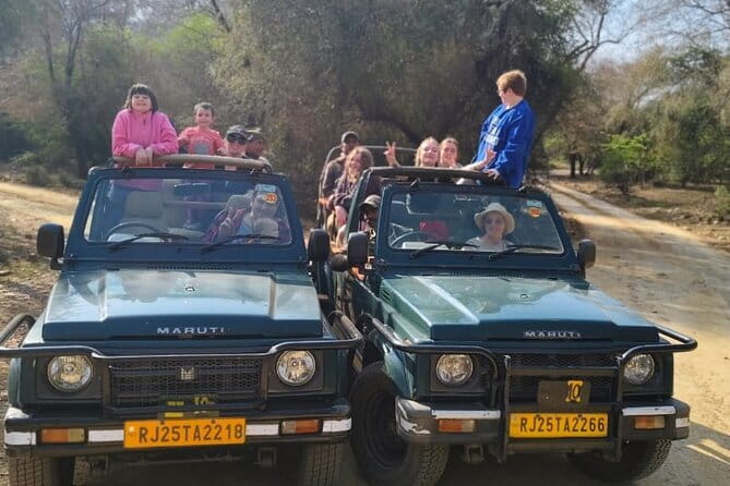 Private 4-Day Tiger Safari & Golden Triangle Tour from Delhi - What the extra costs mean